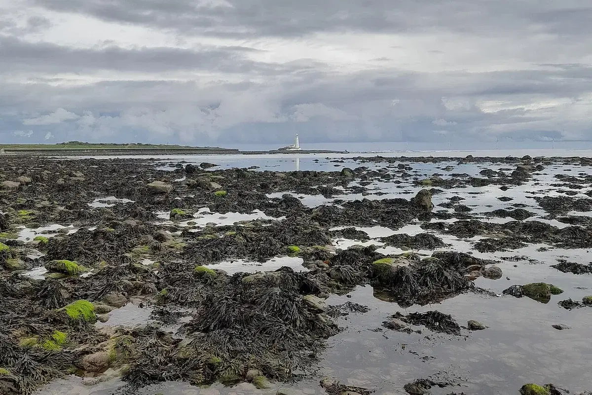 Photography Spots in Whitley Bay